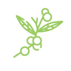 Features Image