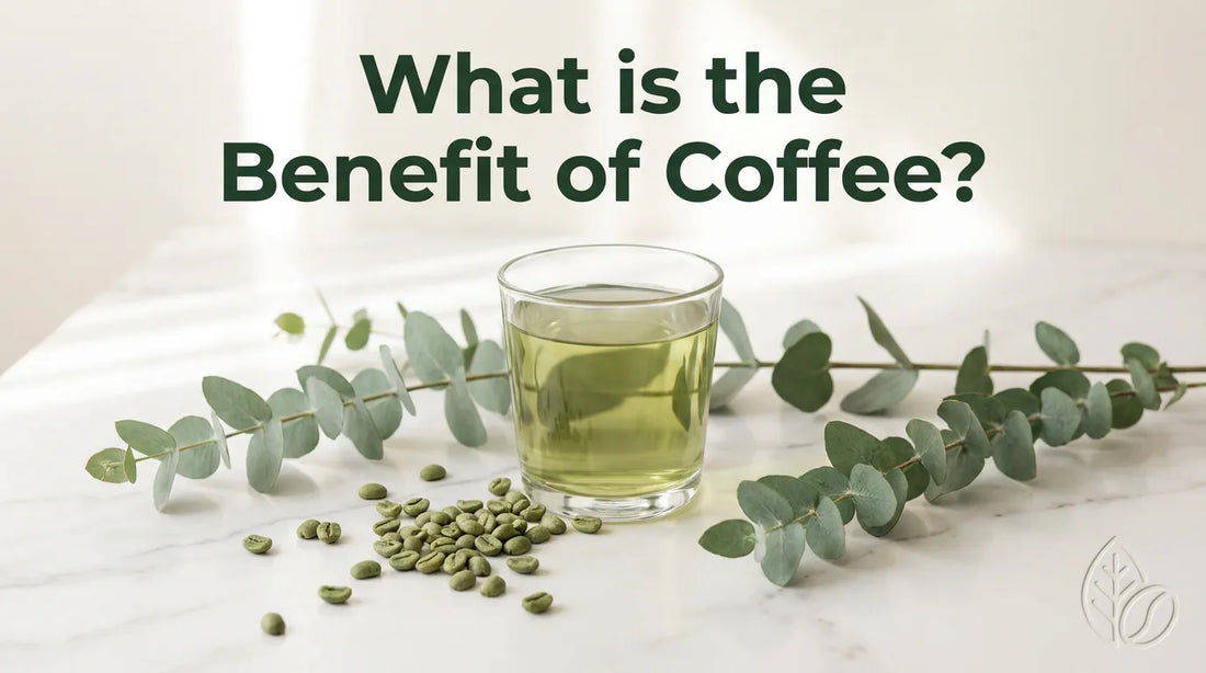 What is the Benefit of Coffee? Everything You Need to Know